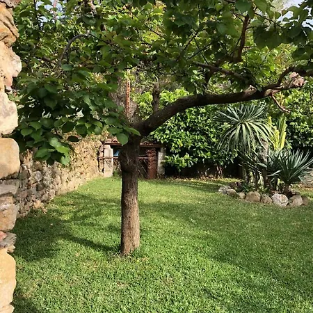 Villa Il Vicolo Palinuro Pisciotta Exterior foto