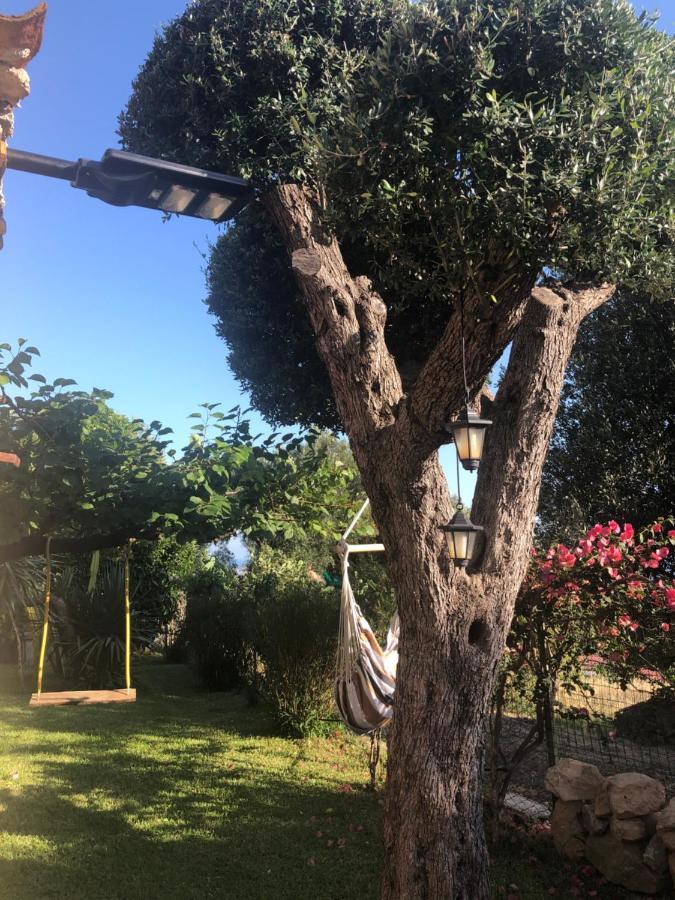 Il Vicolo Palinuro Holiday home