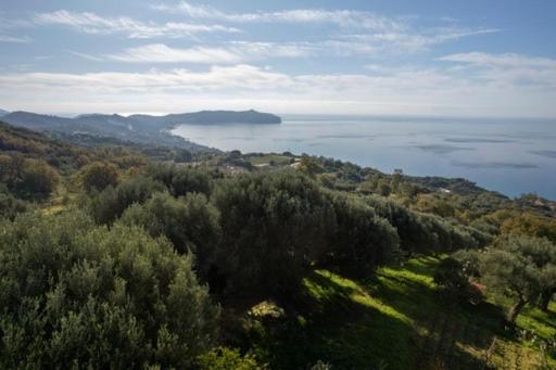 Il Vicolo Palinuro Holiday home *